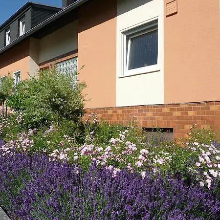 Ferienhaus Moselhohe